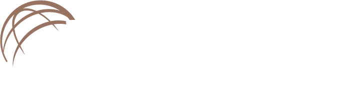 credit international